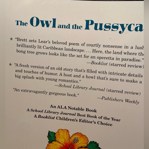 The Owl And The Pussycat Edward Lear Jan Brett  BOOK 1991 Caribbean cat Pictures - Picture 4 of 15